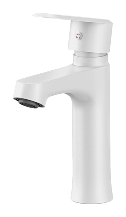 Actual supplier faucet-body example on white; other finishes, head forms, hoses and kit contents follow the selected configuration