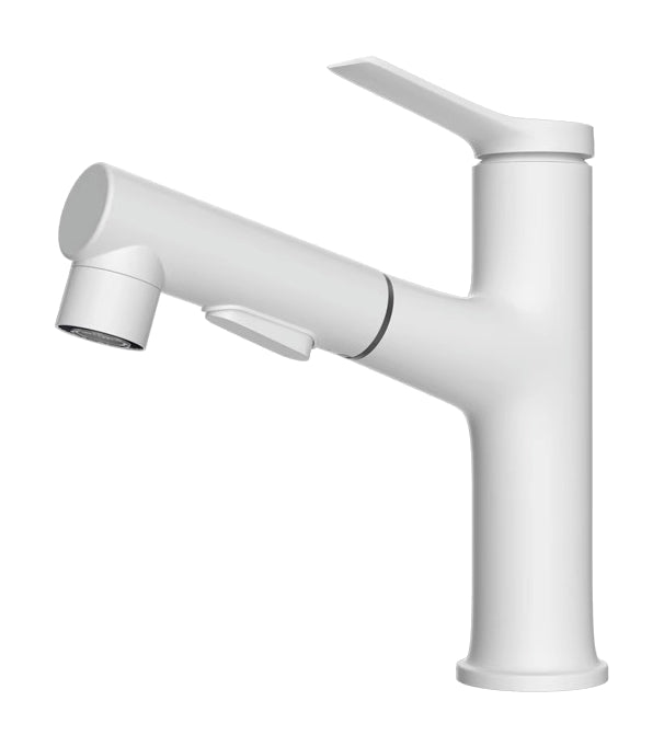 Actual supplier faucet-body example on white; other finishes, head forms, hoses and kit contents follow the selected configuration