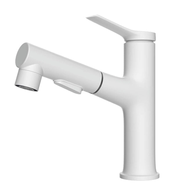 Actual supplier faucet-body example on white; other finishes, head forms, hoses and kit contents follow the selected configuration