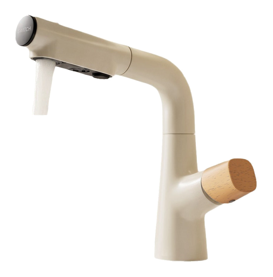 Actual supplier faucet-body example on white; other finishes, head forms, hoses and kit contents follow the selected configuration