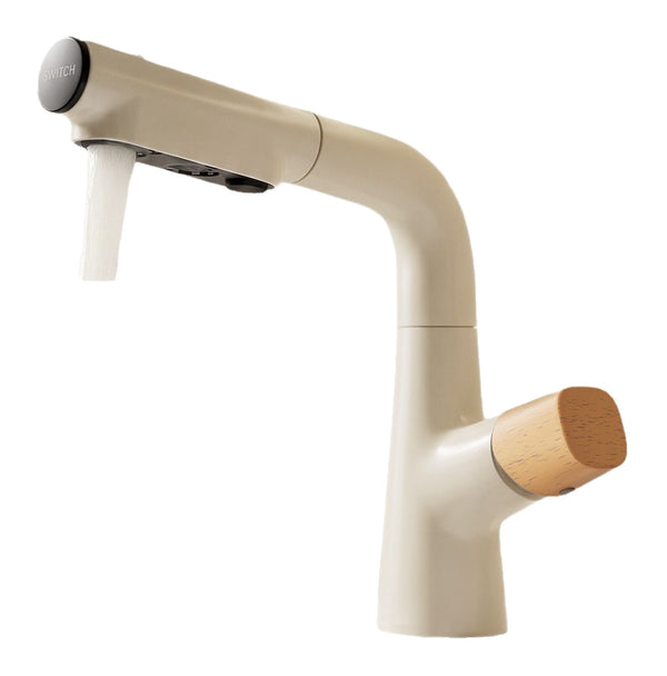 Actual supplier faucet-body example on white; other finishes, head forms, hoses and kit contents follow the selected configuration