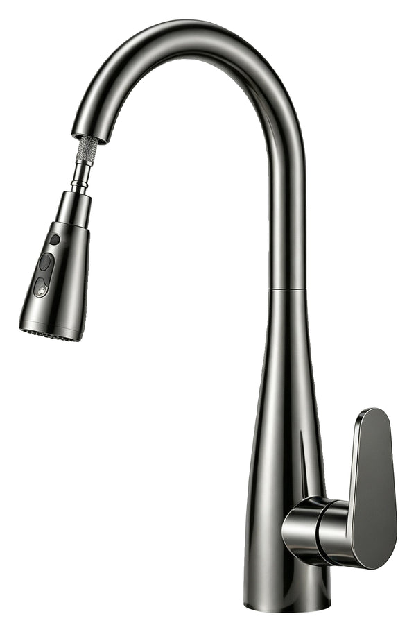 Actual supplier faucet-body example on white; other finishes, head forms, hoses and kit contents follow the selected configuration